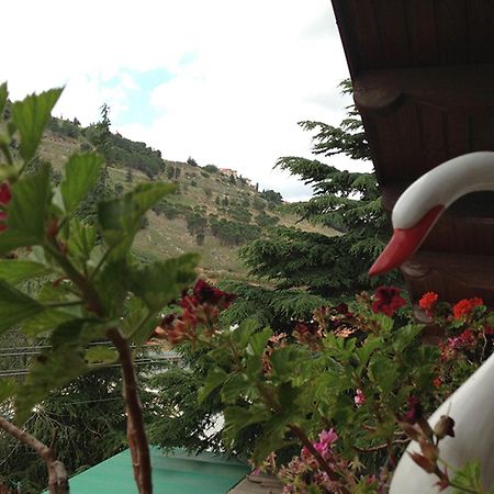 Mina Teva Villa Metula ภายนอก รูปภาพ