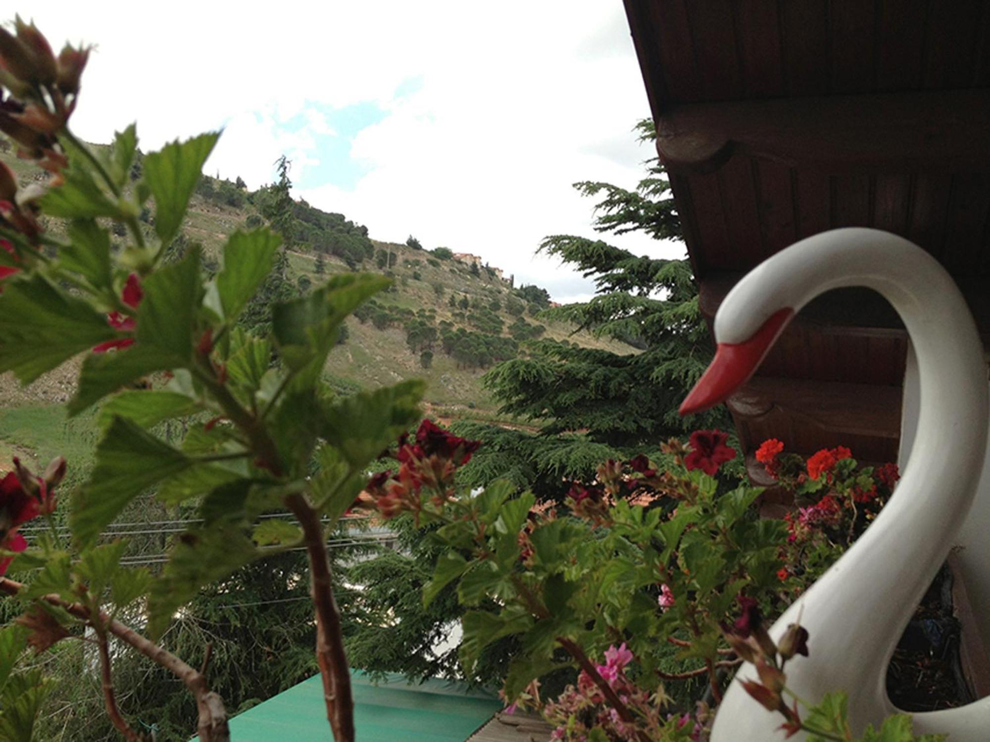 Mina Teva Villa Metula ภายนอก รูปภาพ